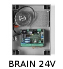 Brain 24